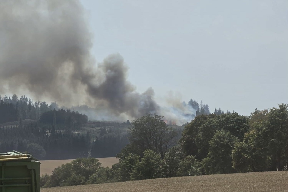 Feuer-Alarm auf Getreidefeld: Flammen greifen auf Waldstück über