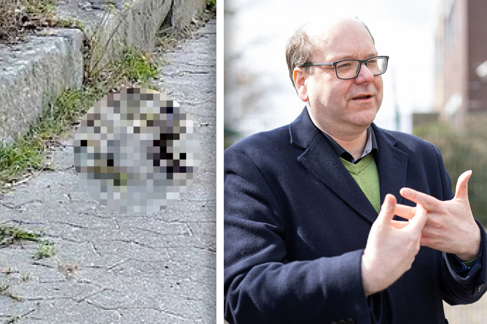 Vor dem Artenschutzzentrum Leiferde wurde ein abgetrennter Wolfskopf entdeckt. Umweltminister Christian Meyer (47, Grüne) verurteilte das Verbrechen aufs Schärfste.