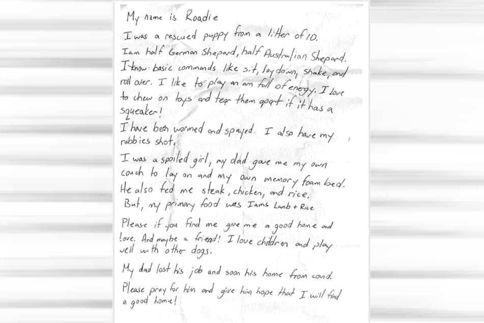 Dieser Brief erklärte die tragischen Umstände, unter denen Roadie ausgesetzt wurde.