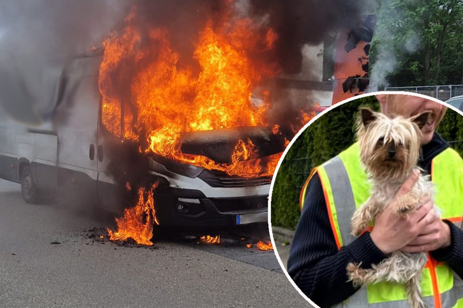 Ein Polizist holte den kleinen Terrier aus dem Auto neben dem brennenden Transporter.