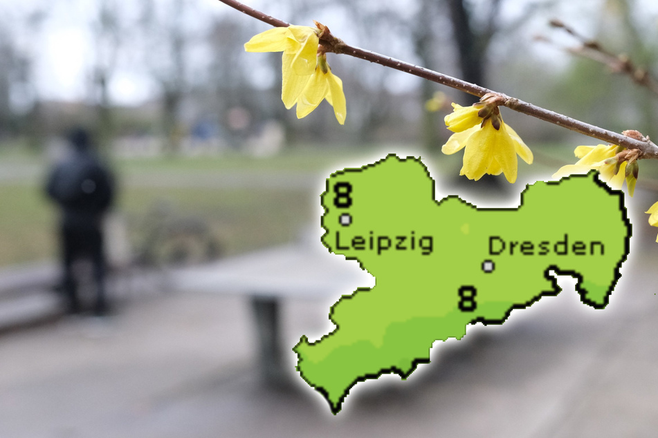 Der Frühling lässt in Sachsen doch noch einmal länger auf sich warten als gedacht!