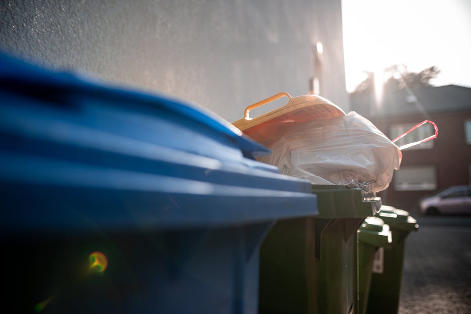 Leicht zugänglicher Müll ist ein gutes Nahrungsangebot für die Nagetiere. (Symbolfoto)
