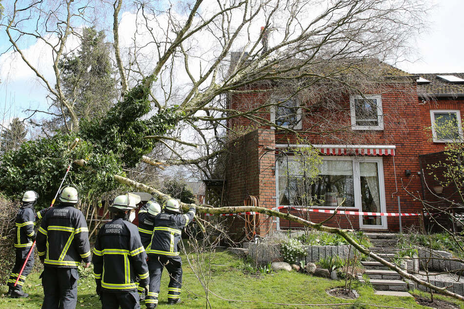 Einsatzkräfte der Feuerwehr sichern einen umgestürzten Baum, der bei heftigen Windböen auf ein Endreihenhaus gestürzt war.