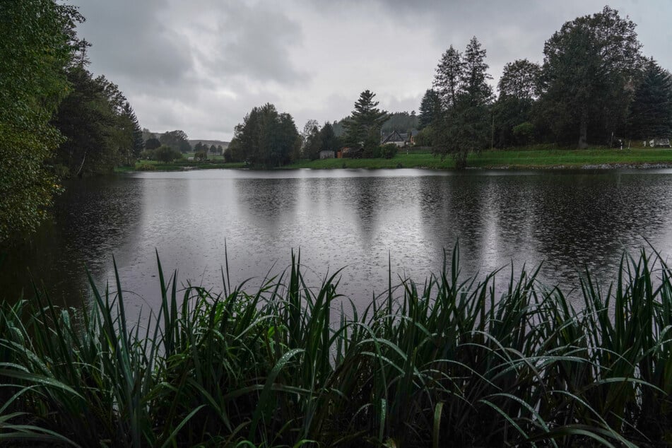 Im Rosensee, dem Vereinsgewässer, setzten die Angler die Afrikanischen Welse aus. Leider ohne Genehmigung.