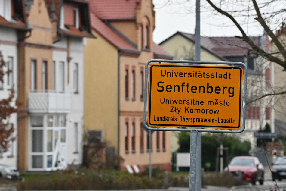 Die Fahrgäste sind bei dem Vorfall kurz vor dem Bahnhof Senftenberg (Landkreis Oberspreewald-Lausitz) nach bisherigen Erkenntnissen nicht verletzt worden. (Archivbild)