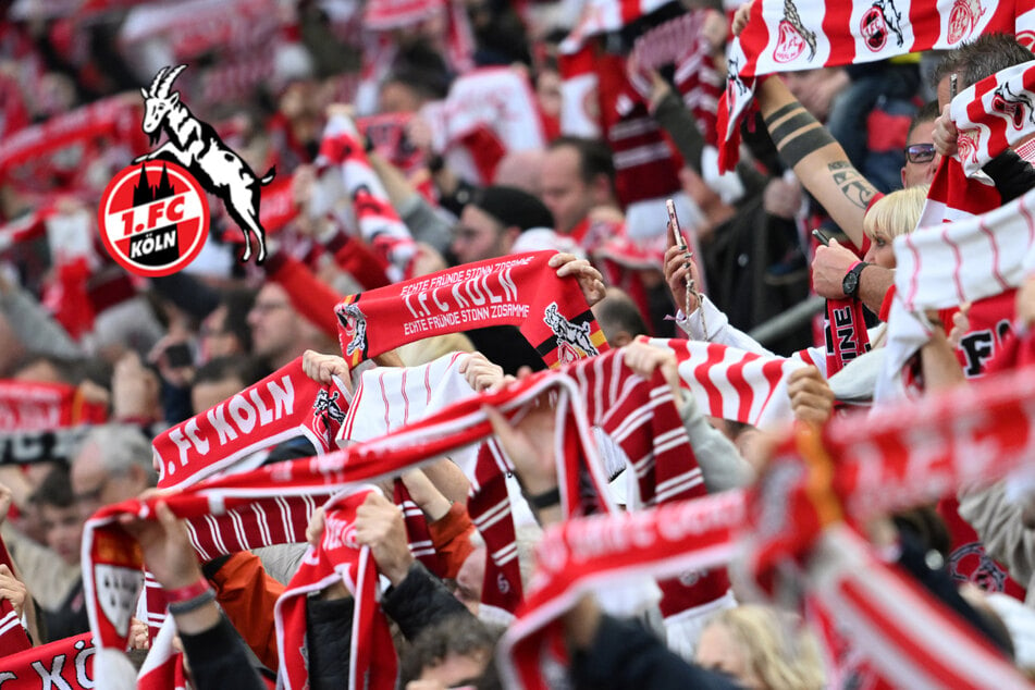 Wirbel um Effzeh-Hymne: Fans des 1. FC Köln wollen die alte Version zurück
