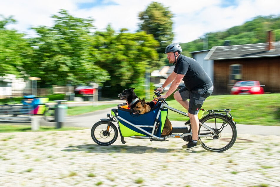 Zwei Hunde sind bei den Testfahrten meist dabei. Der Rahmen umschließt die Transportbox und gibt daher mehr Sicherheit.