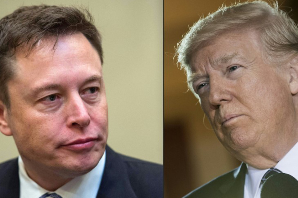Elon Musk: Elon Musk: Trumps Verbannung von Twitter war "falsch und dumm"