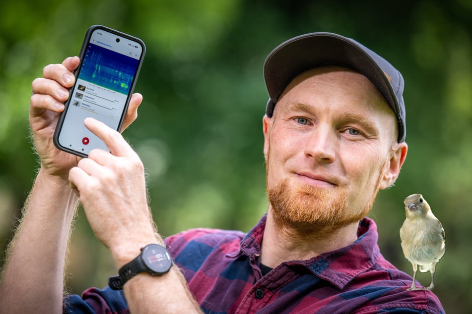 Vogelstimmen-App aus Sachsen zwitschert Euch rund 9000 Arten ins Ohr