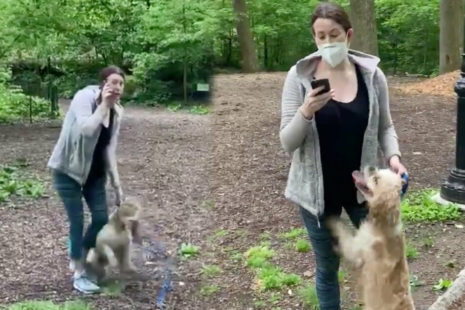 Amy macht ernst: Völlig siegessicher greift sie nach ihrem Handy und behauptet, von einem Schwarzen bedroht zu werden.