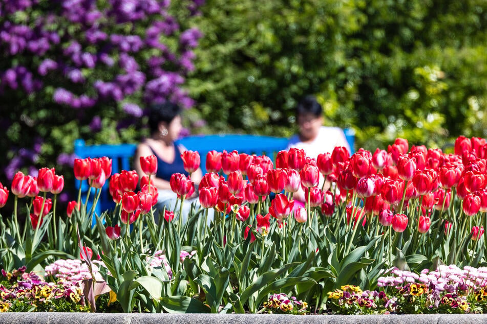 Am Montag wird es erneut sommerlich in Berlin und Brandenburg.