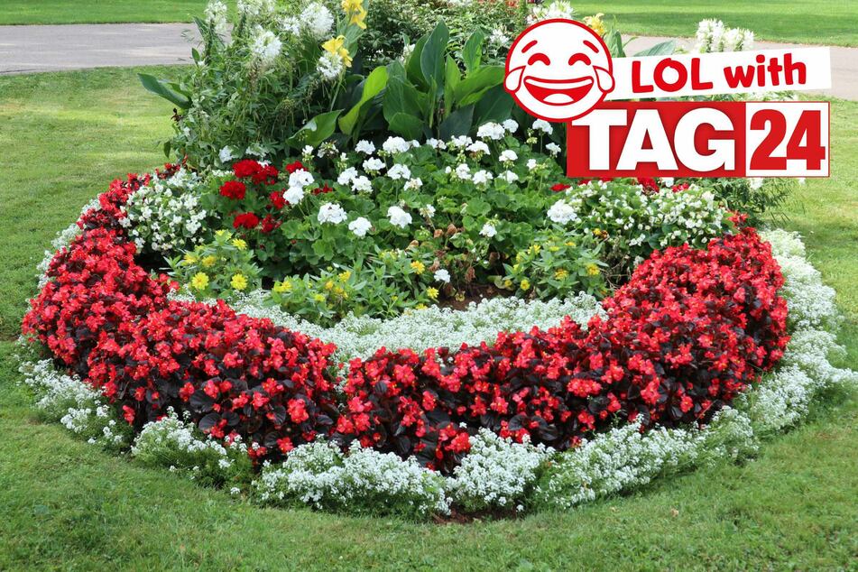 Joke of the Night for April 19, 2026: One that's flowering with funny