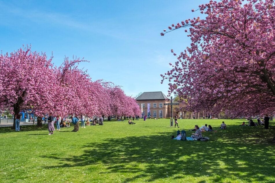 Für Familien lockt am Samstag das Grassi Museum.