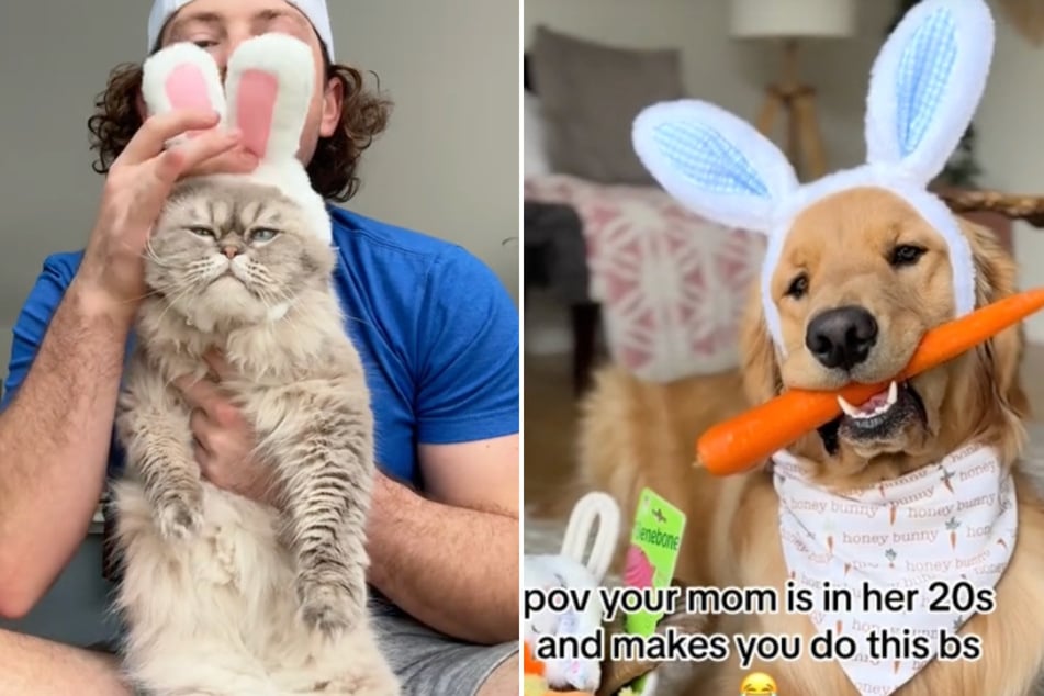 TikTokers are dressing up their pets as Easter bunnies – to the delight of social media!