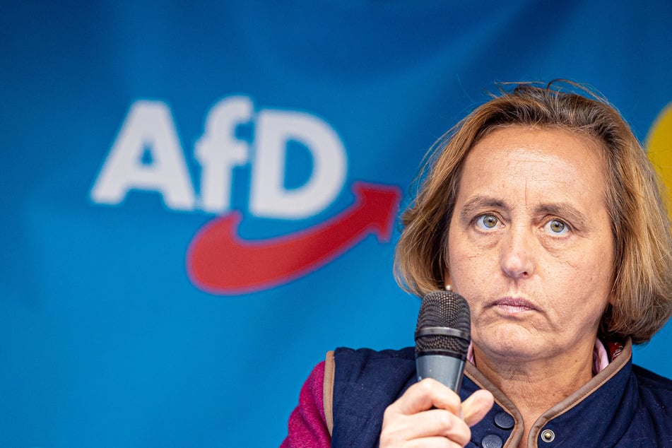 Die stellvertretende AfD-Partei- und Fraktionsvorsitzende Beatrix von Storch (50) erntet viel Kritik für ihre Aussage über Transgender-Personen.