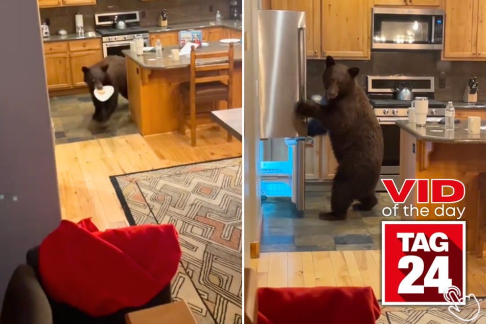 Today's Viral Video of the Day features a pair of girls who walked in their kitchen to find a huge bear rummaging through their refrigerator!