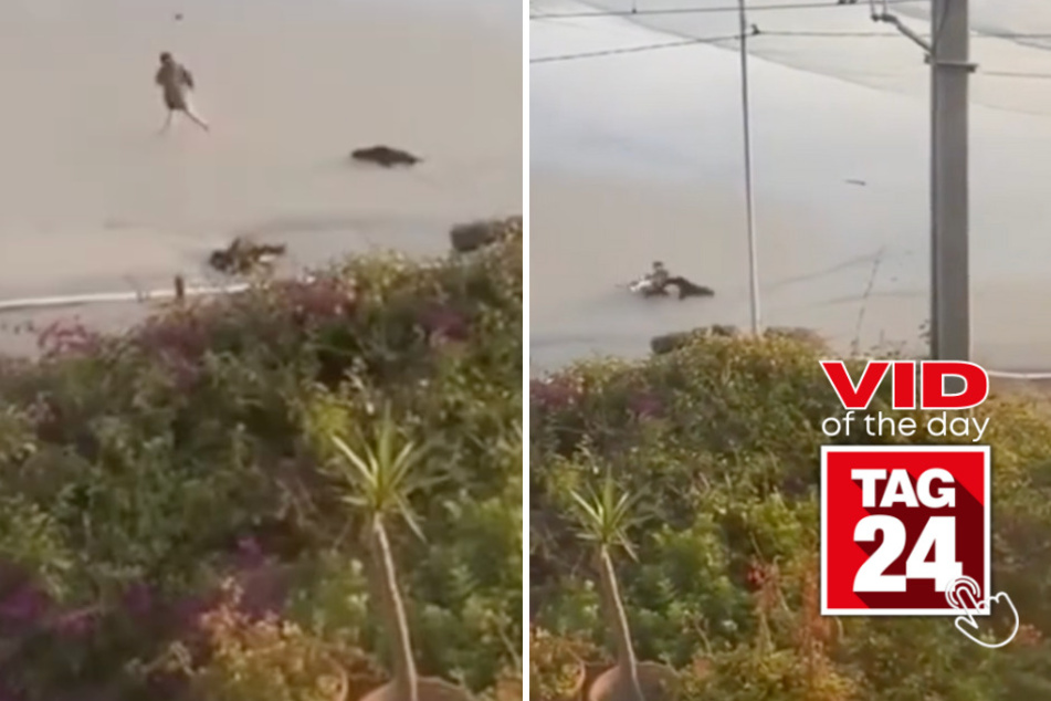 viral videos: Viral Video of the Day for November 11, 2023: Woman gets chased by speedy seal