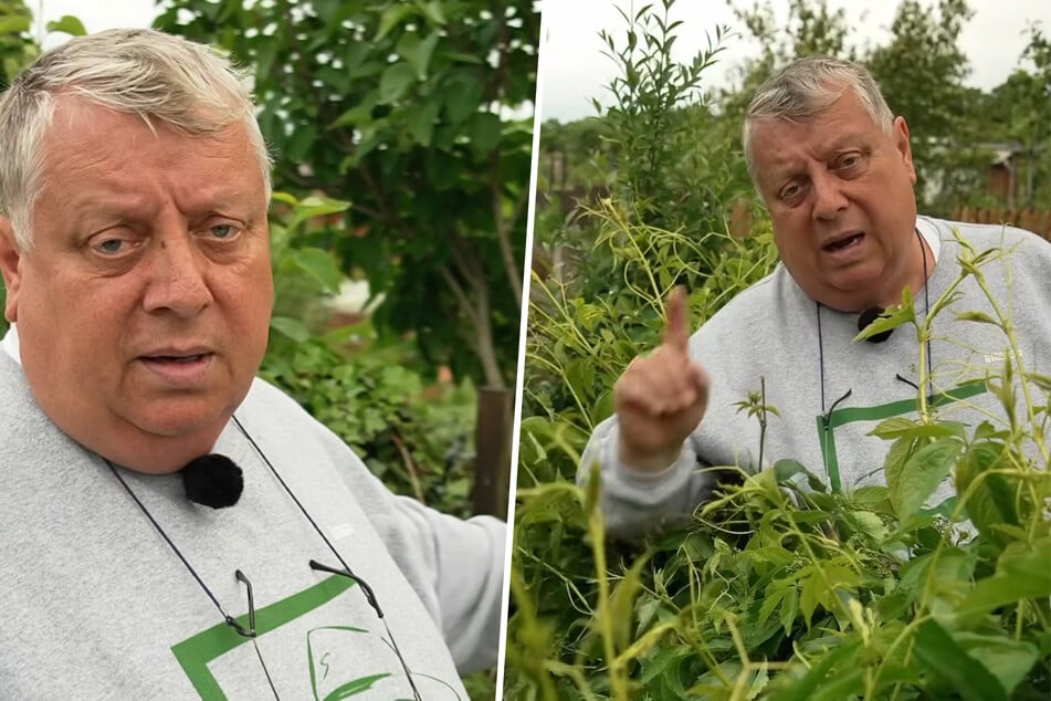 Bei den liederlichen Komposthaufen seiner Gartenfreunde bekommt der Kleingartensheriff das Gruseln.