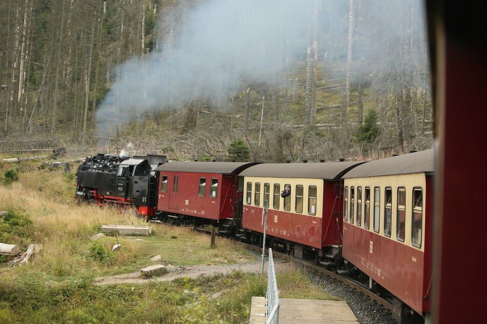 Auf dem Weg in Richtung Brocken schnaufen wieder die historischen Dampfloks. (Archivbild)