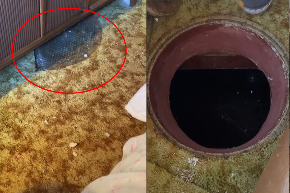 TikTok user's mind-blowing discovery under her closet has the internet creeped out
