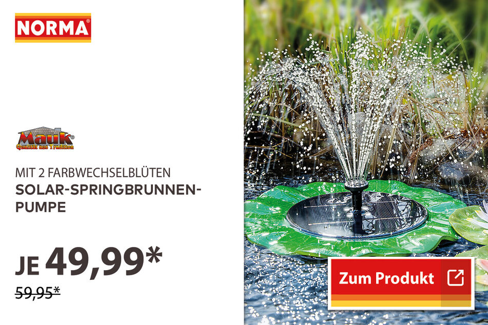 Solar-Springbrunnen-Pumpe für 49,99 Euro