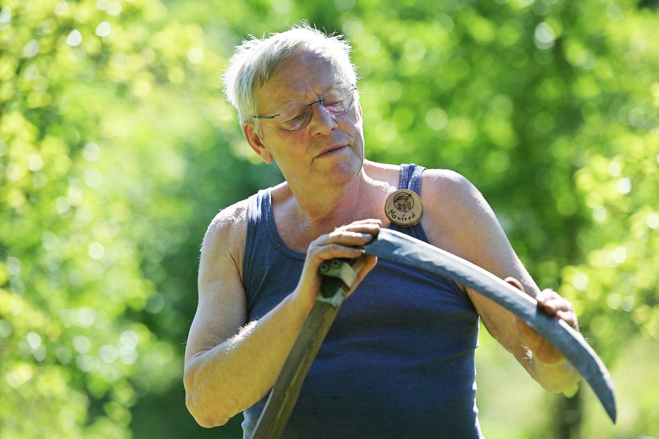 Umweltfreundliche Mähkunst: Kursleiter Manfred Schönherr (73) zeigte, wie man die Sense richtig handhabt.