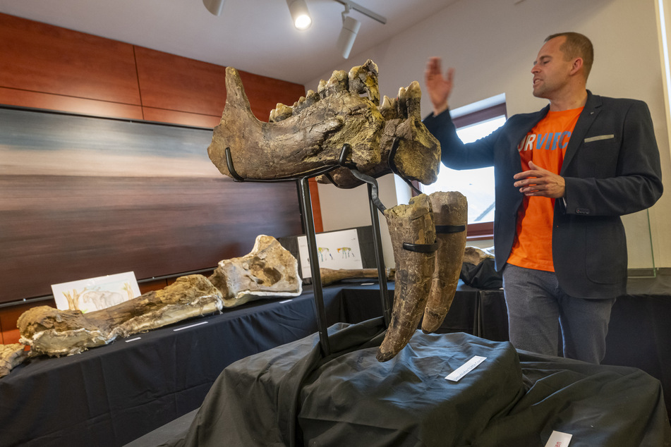 Peter Kapustin, Museumsleiter des Urzeitmuseums, erklärt die Funde zur Entdeckung eines Ur-Elefanten-Friedhofs im Landkreis Erding.