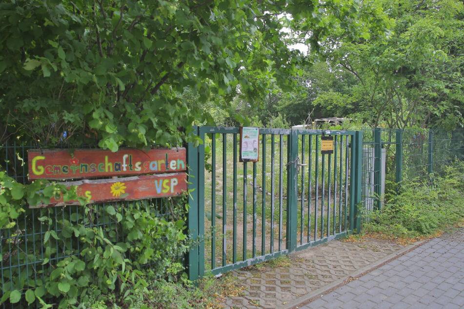 Im Gemeinschaftsgarten Prohlis gärtnern Geflüchtete und Deutsche aller Altersklassen gemeinsam