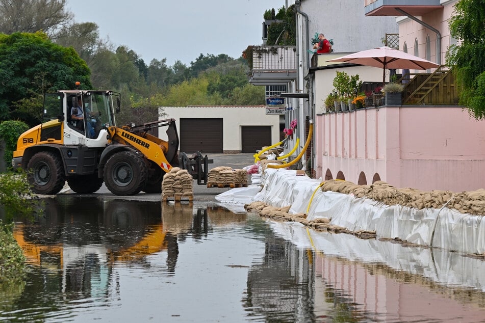 Wasser über Wasser: In Eisenhüttenstadt wurden einige Straßen in Ufernähe überflutet.