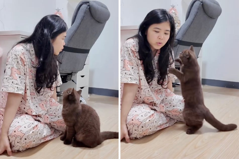 Katze Misu verstand die Welt nicht mehr.