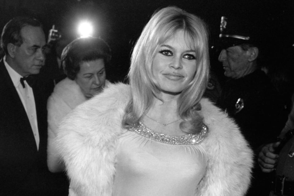 Following her years on the big screen, Bardot gained a reputation for leaning into controversial, far-right views.