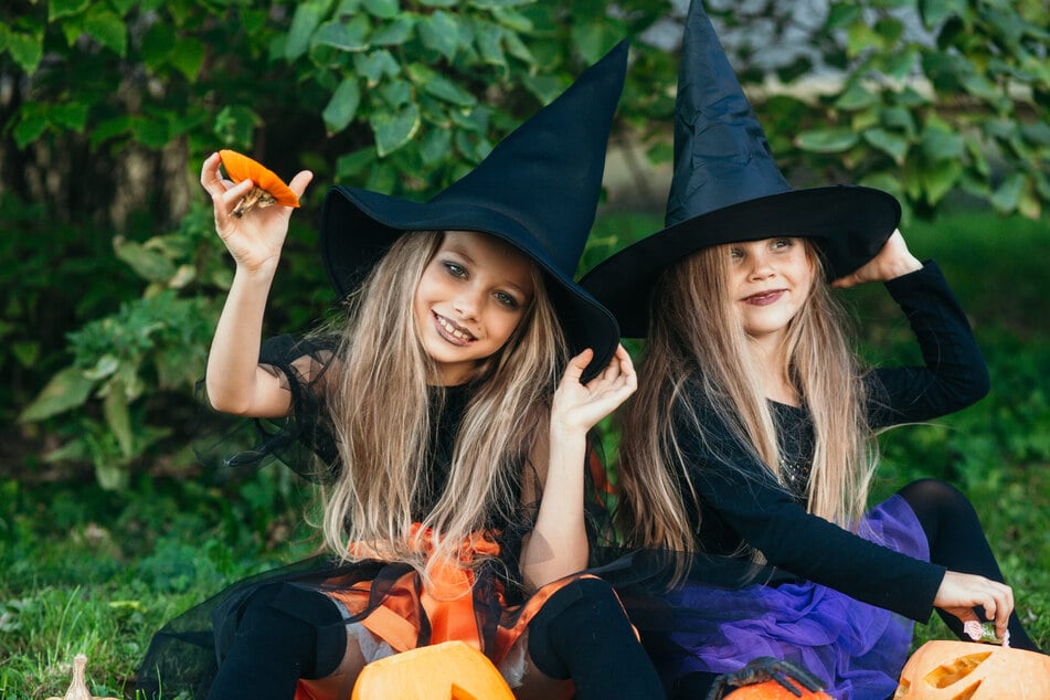 Beim Kinder- und Jugendbauernhof Nickern e. V. gibt es ein tolles Programm für Groß und Klein. (Symbolbild)