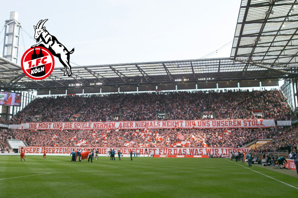 1. FC Köln: Böllerwerfer droht Mindeststrafe von zwei Jahren