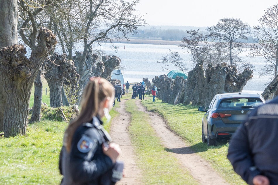 Die Polizei richtet rund um den Wal eine Sperrzone ein.