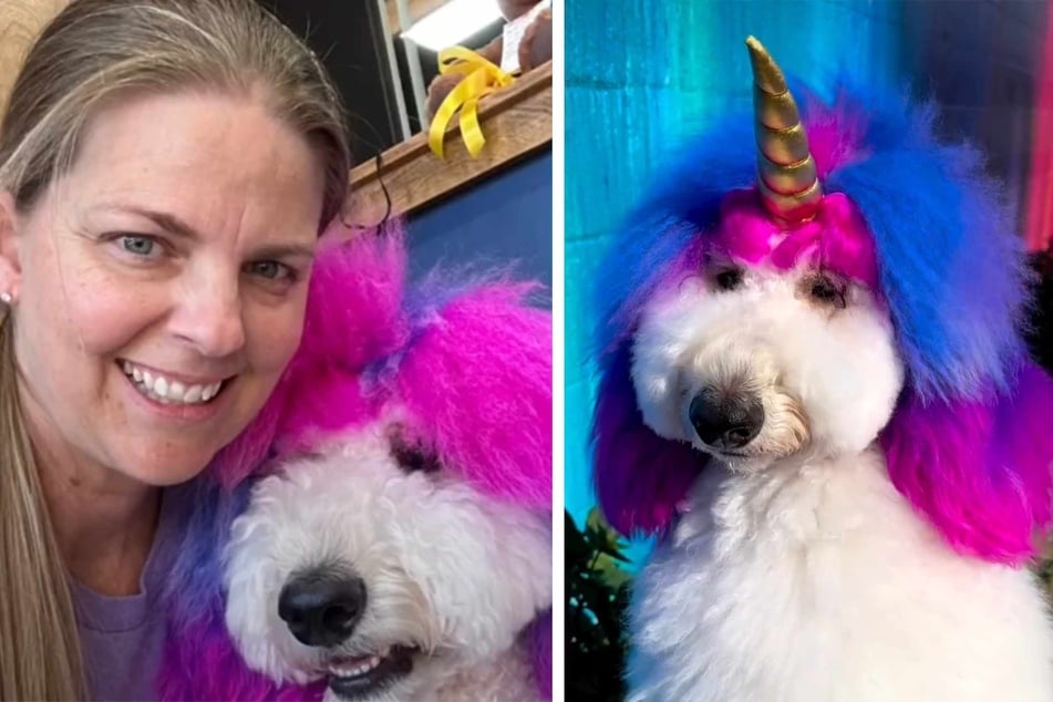 Angela Schoonover regularly dyes her dog Zoe's fur in bright, eccentric colors – and she says the pooch loves the attention.