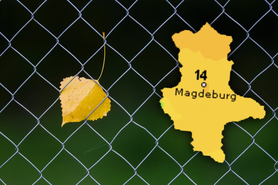 Sonne, Wolken und kühle Nächte: Sachsen-Anhalt steht eine wechselhafte Woche bevor