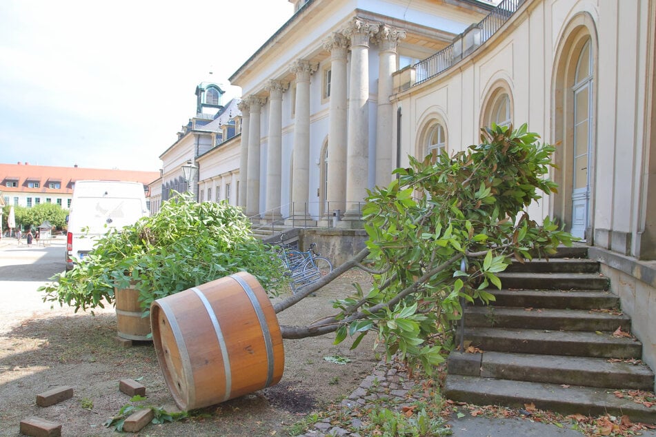 Am Schloss Pillnitz kippten Pflanztöpfe um, zwei Fenster gingen zu Bruch.
