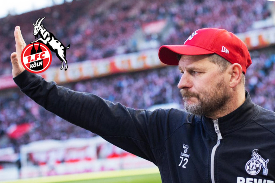 1. FC Köln: Irritationen um Vertrag von Steffen Baumgart