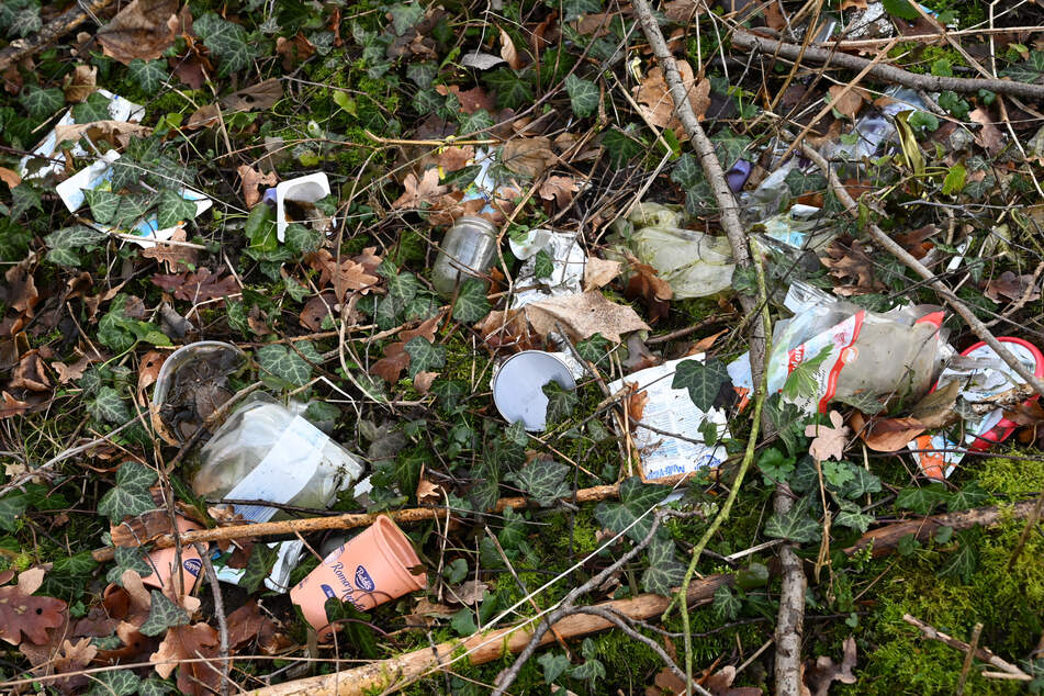 Während sie im Begriff waren im Wald Abfall zu sammeln, stießen die beiden 14-Jährigen auf eine Übungspanzerfaust der Bundeswehr. (Symbolbild)
