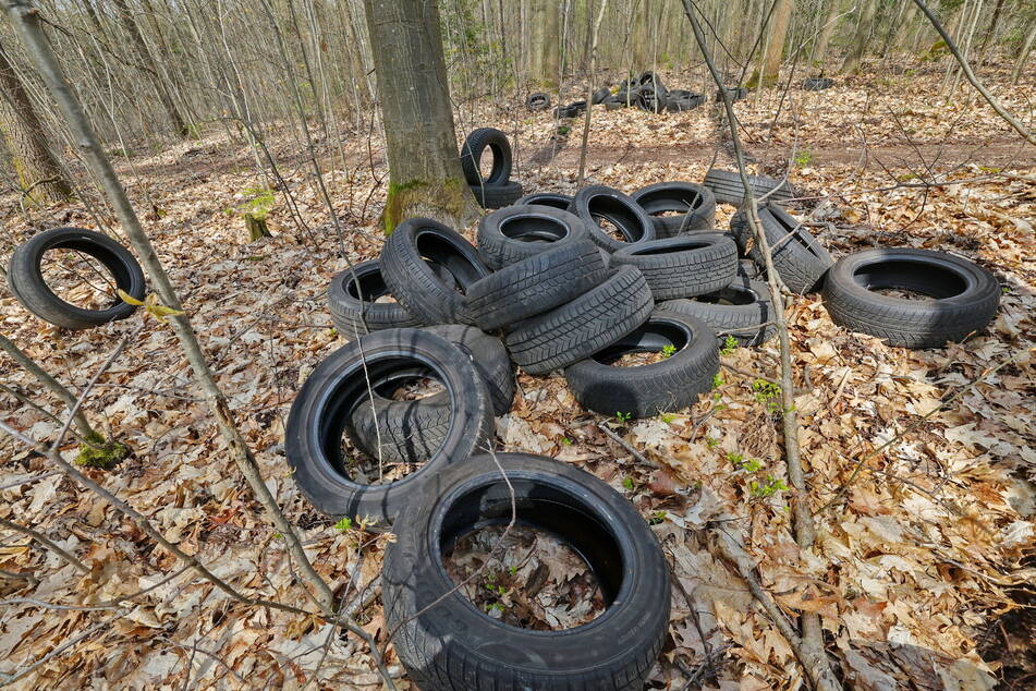 Über 100 Reifen schmissen Unbekannte in den Neudörfler Wald.
