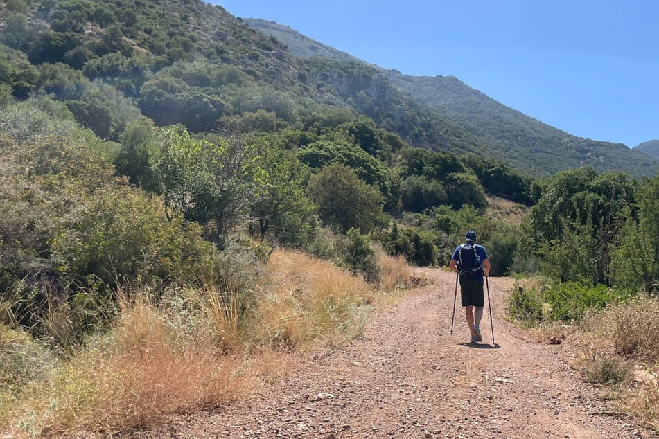 Pilgrimages have become increasingly popular with women in particular in recent years. Many of them also make this journey alone. (symbolic image)