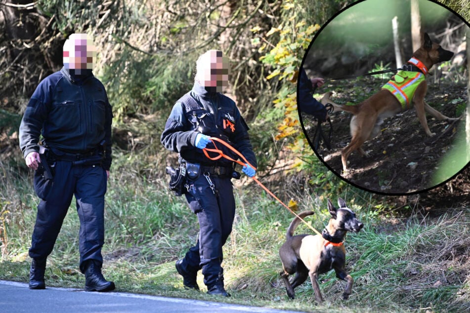 Suche nach vermisstem Schatzsucher im Erzgebirge: Leichenspürhunde durchkämmen den Wald