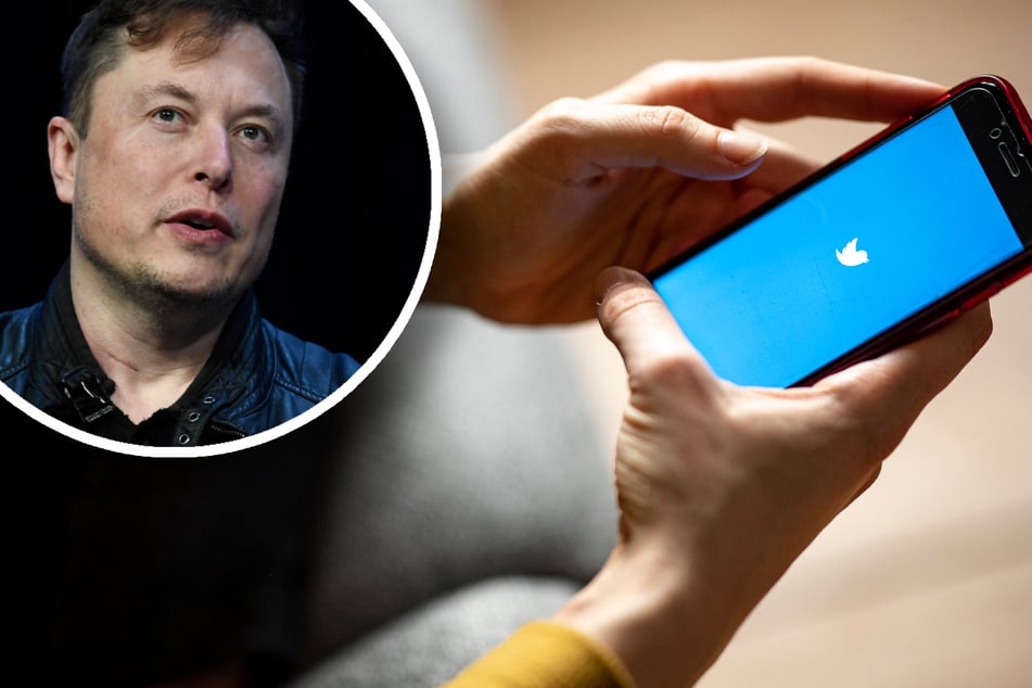 Elon Musk neuer Twitter-Plan: Warum Ihr bald weniger Follower haben könntet
