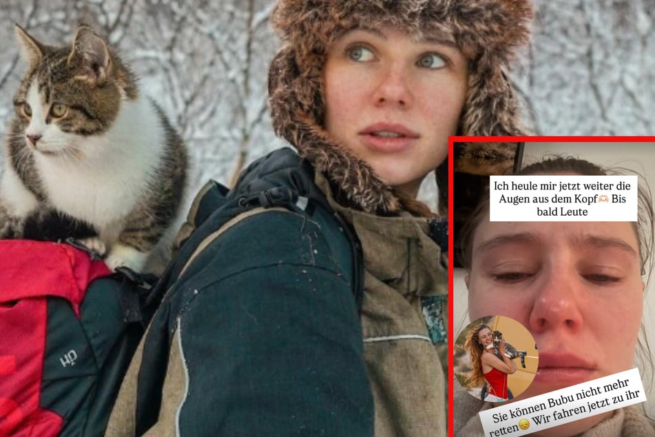 Große Trauer bei "Affe auf Bike": Katze Bubu ist gestorben