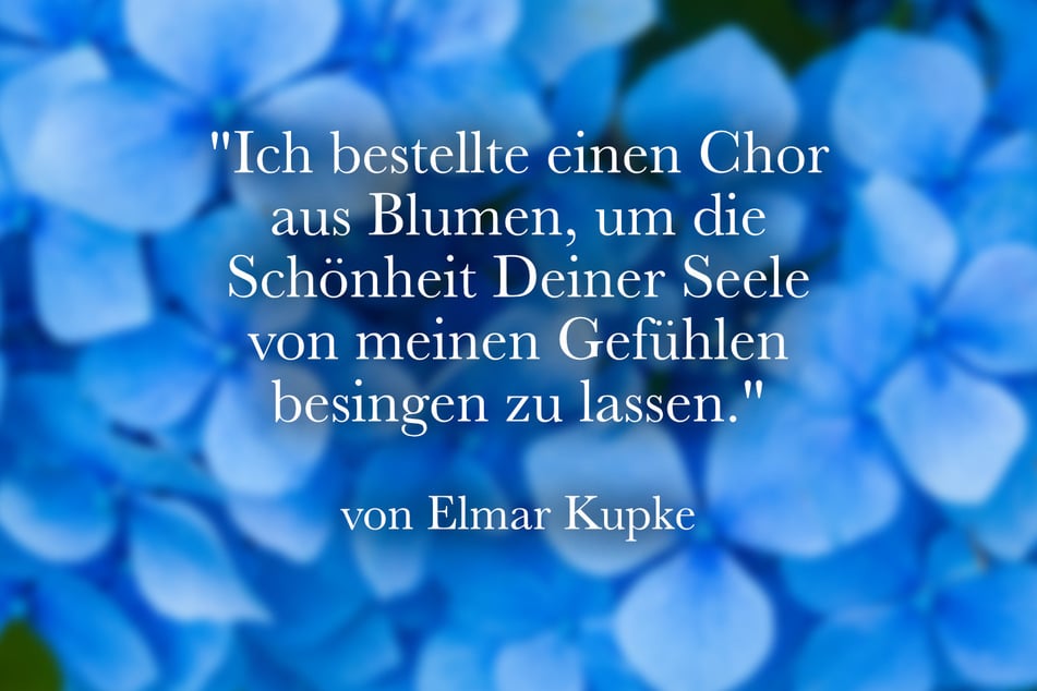 Elmar Kupke sagte: "Ich bestellte einen Chor aus Blumen, um die Schönheit Deiner Seele von meinen Gefühlen besingen zu lassen."