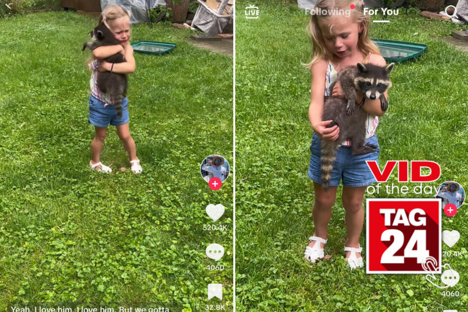 viral videos: Viral Video of the Day for August 7, 2023: Girl cries while holding adorable baby trash panda on TikTok