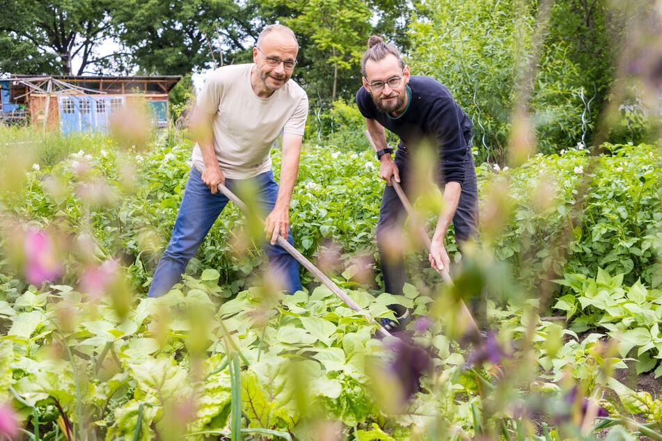 Für viele, die neu zu den Gemeinschaftsgärten kommen, wirken die Beete oft erstmal "unordentlich". Das wissen auch Projektleiter Thomas Kowalski (55, l.) und Vorstand Erik Miersch (38).