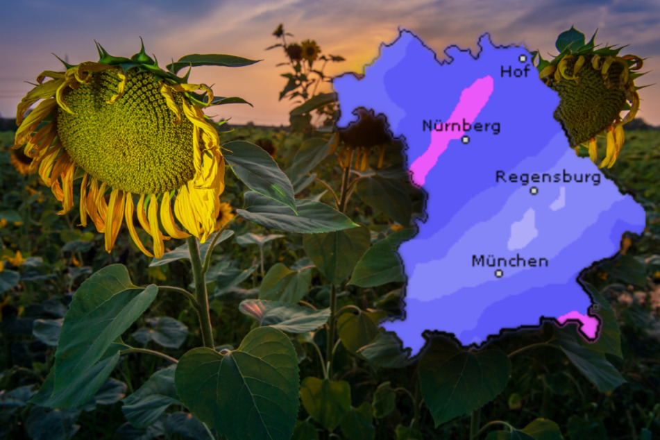 Der Start ins Wochenende wird in Bayern regnerisch, danach kühlt es ab. (Bildmontage)