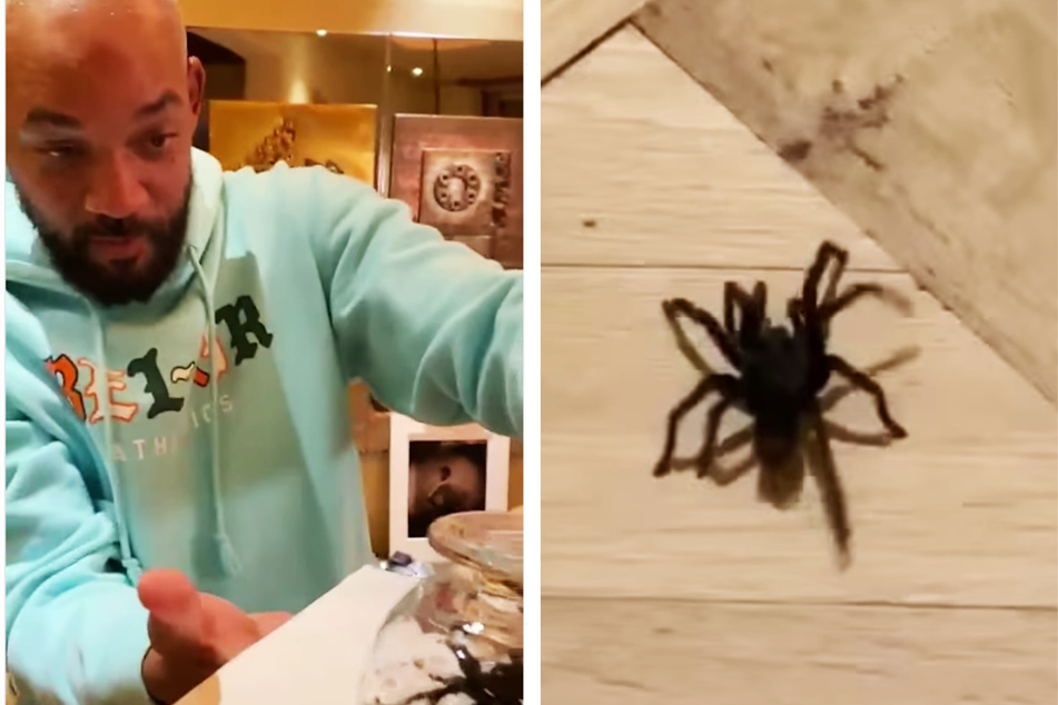 Will Smith awkwardly returns to Instagram with a creepy spider video