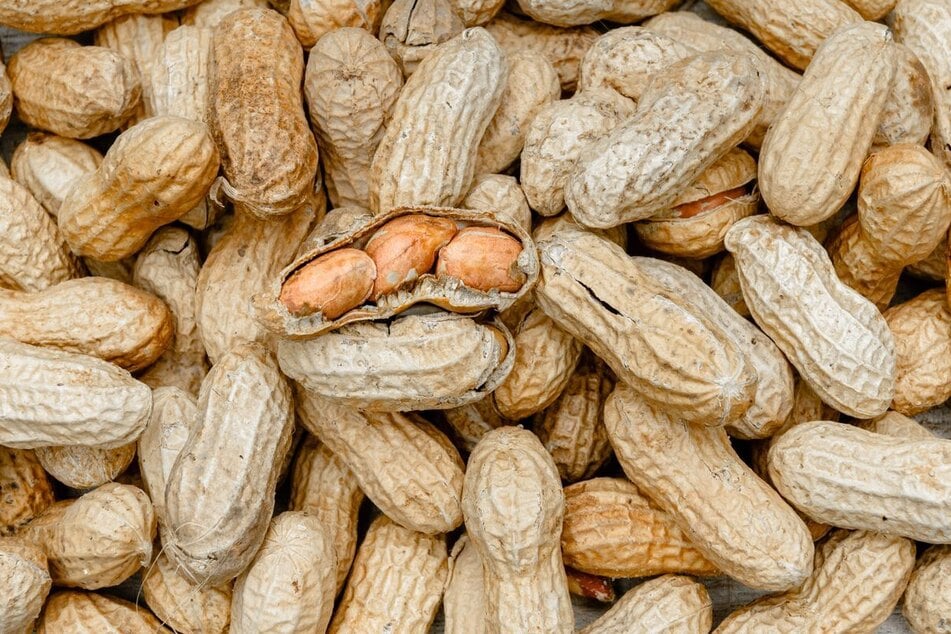 Die betroffene Ware wurde nur innerhalb eines sehr kurzen Zeitraums von drei Minuten produziert. (Symbolbild)